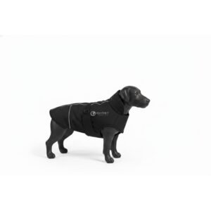 Waterproof Insulated Winter Coat