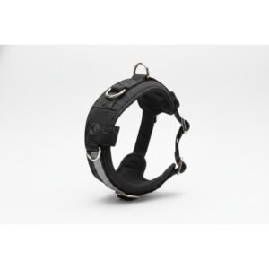 Adjustable No-Pull Walking Harness