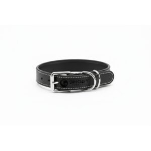 Premium Leather Walking Collar
