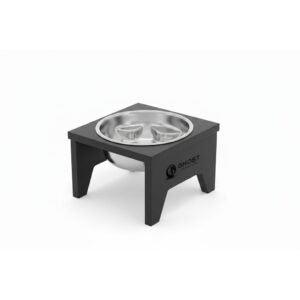 Elevated Slow-Feeder Bowl