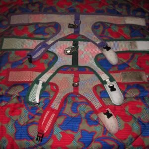 Adjustable No-Pull Walking Harness