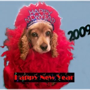 Cooling Gel Summer Mat