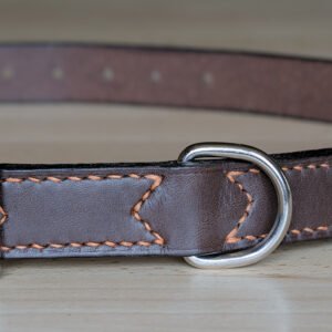 Premium Leather Walking Collar