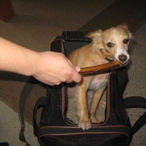 Pro Travel Kennel Carrier