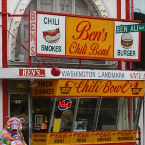 Stainless Slow-Feeder Double Bowl
