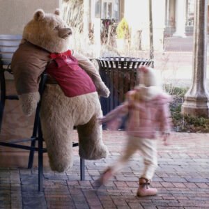 Waterproof Insulated Winter Coat