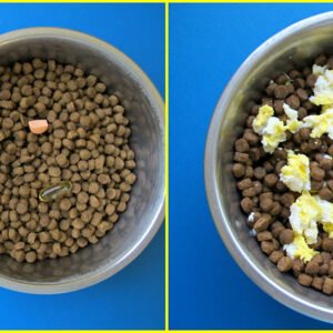 Wild Alaskan Salmon Oil 32oz